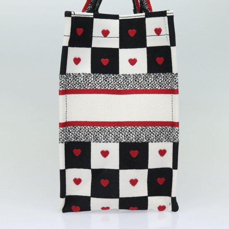 Dior Book Tote
