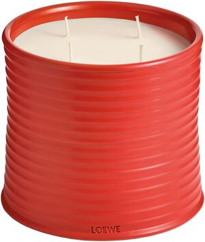 LOEWE Large Tomato Candle