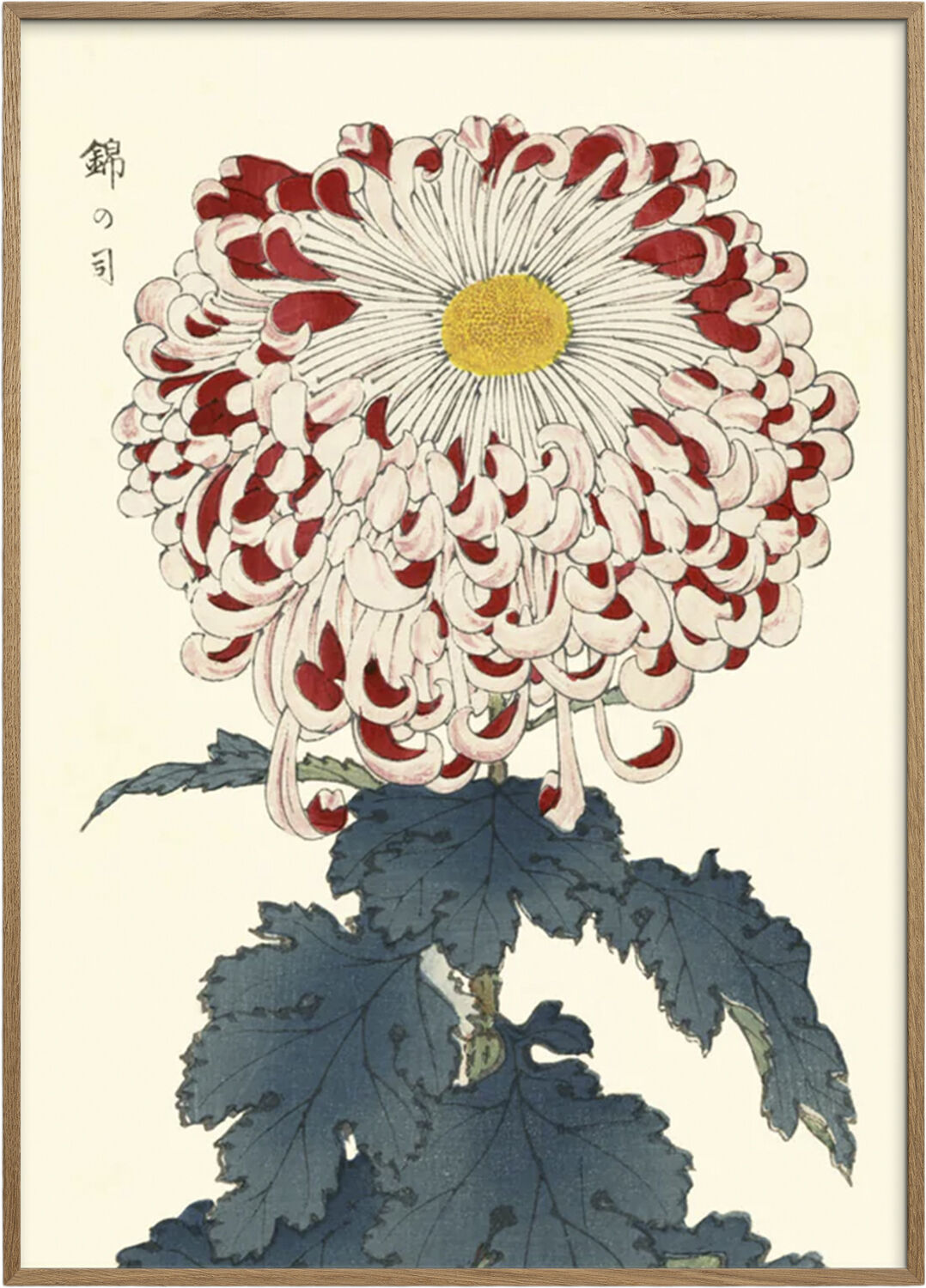 Artimuus - Artimuus 110