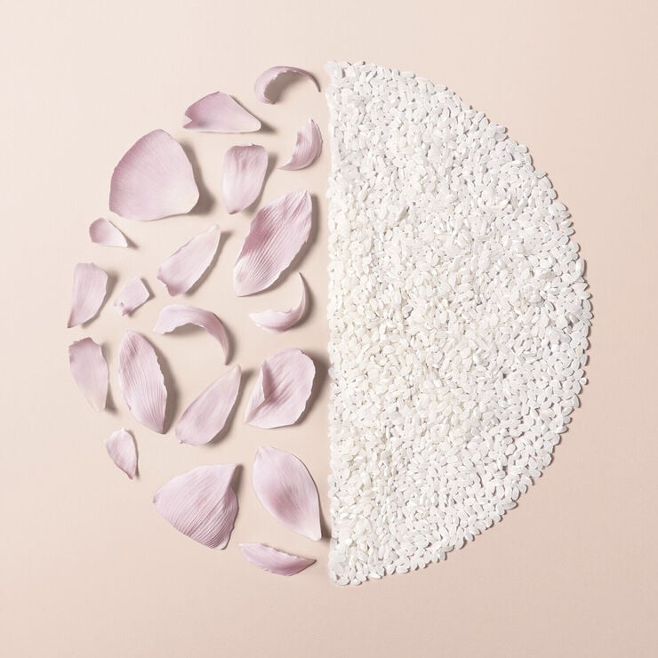 Nourishing Flow - Sensual Body Cream