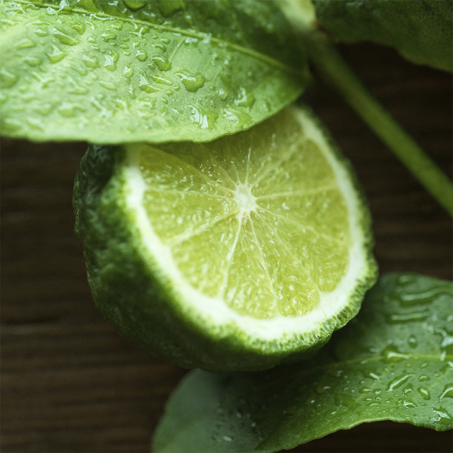 Ralph Lauren Polo 67 Eau de Toilette 40ml