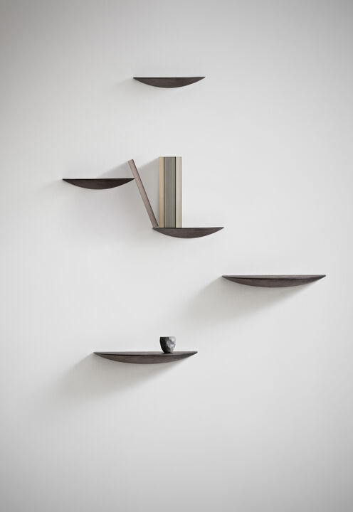 Gridy Fungi Shelf, Small, Black Oak