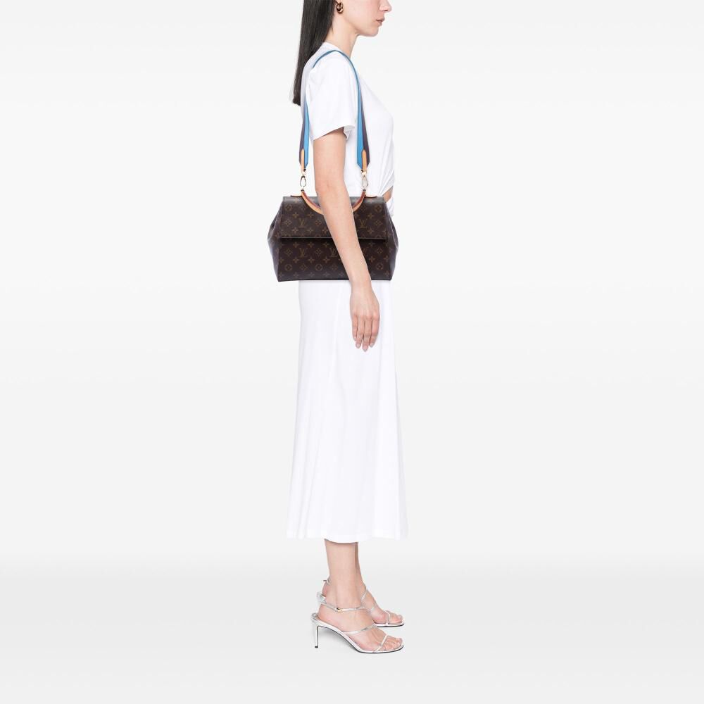 Louis Vuitton Cluny