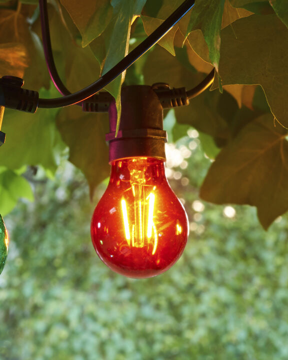 Tobias, Reservepære, Rød