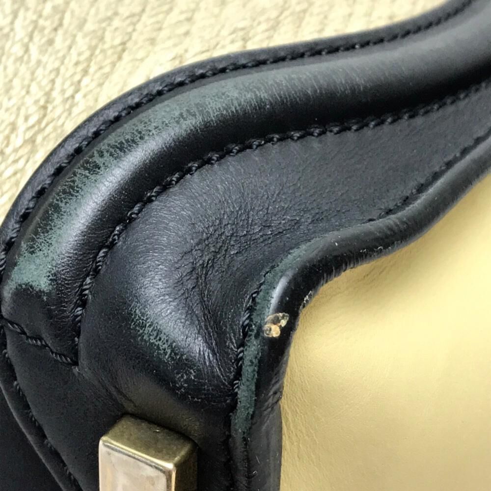 Celine Luggage
