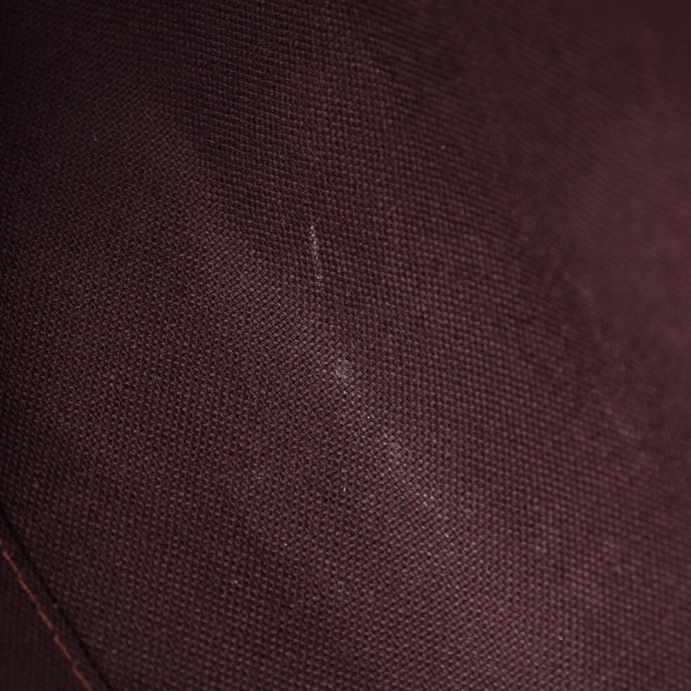 Louis Vuitton Favorite