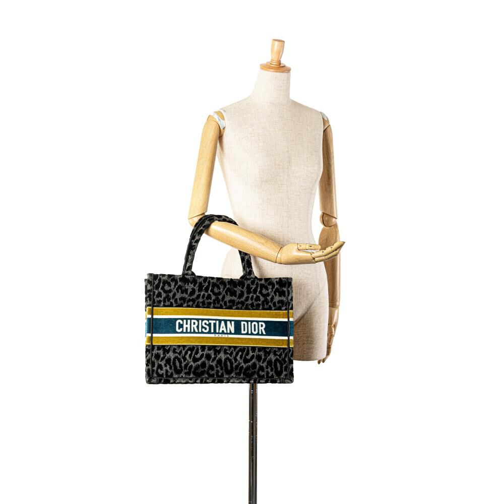Dior Book Tote