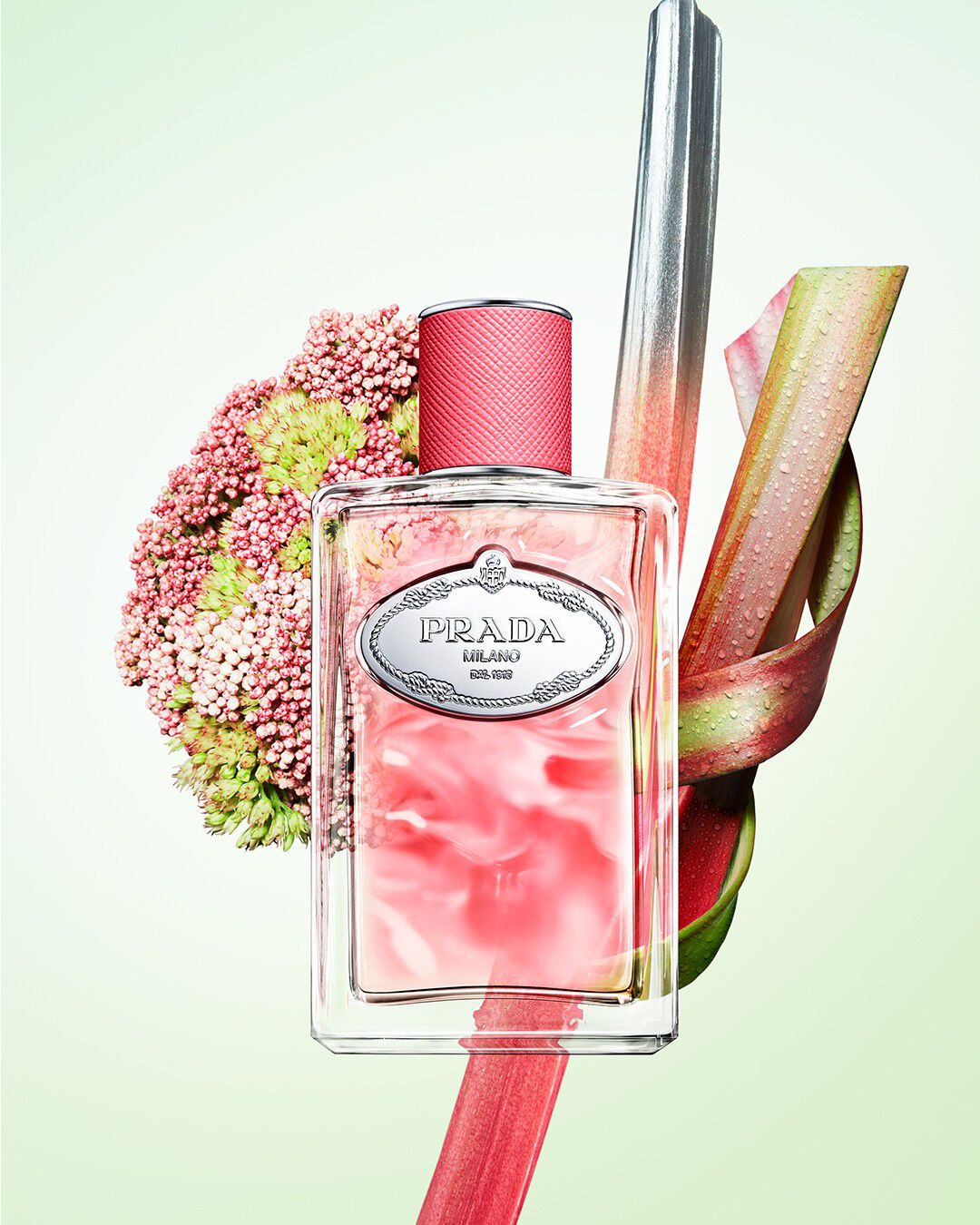 INFUSION RHUBARBE EDP 100ML MV