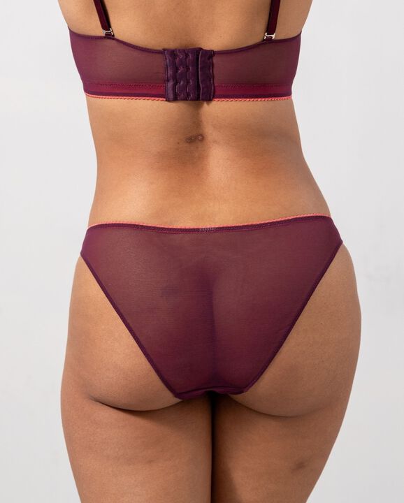 Mesh Bikini Briefs