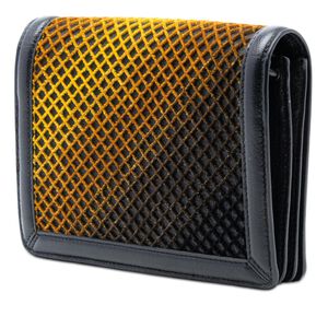 Bottega Veneta Crossbody Bag