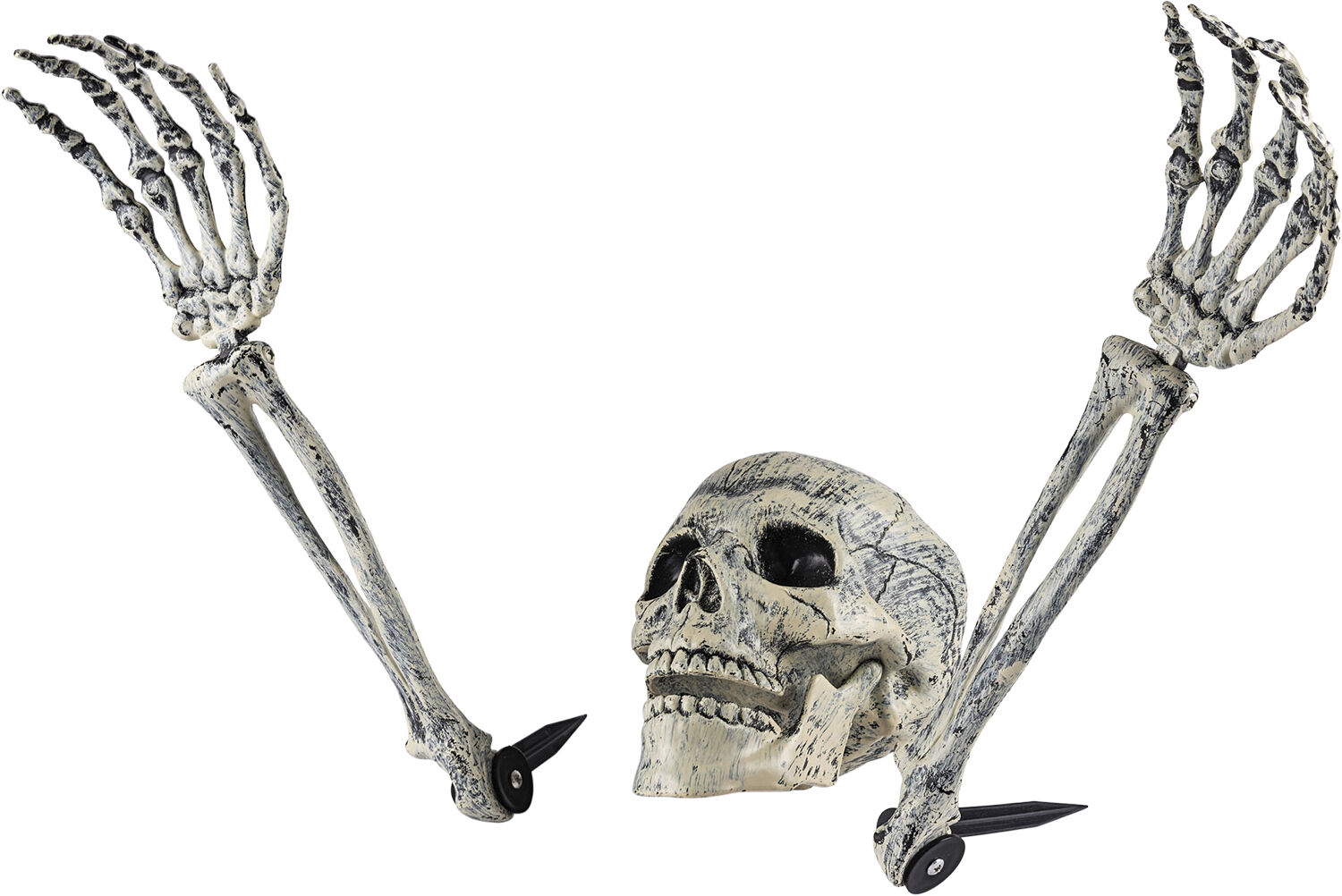 SKELETHOVED-KNOGLER DEKO