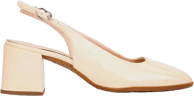 ANILA 01