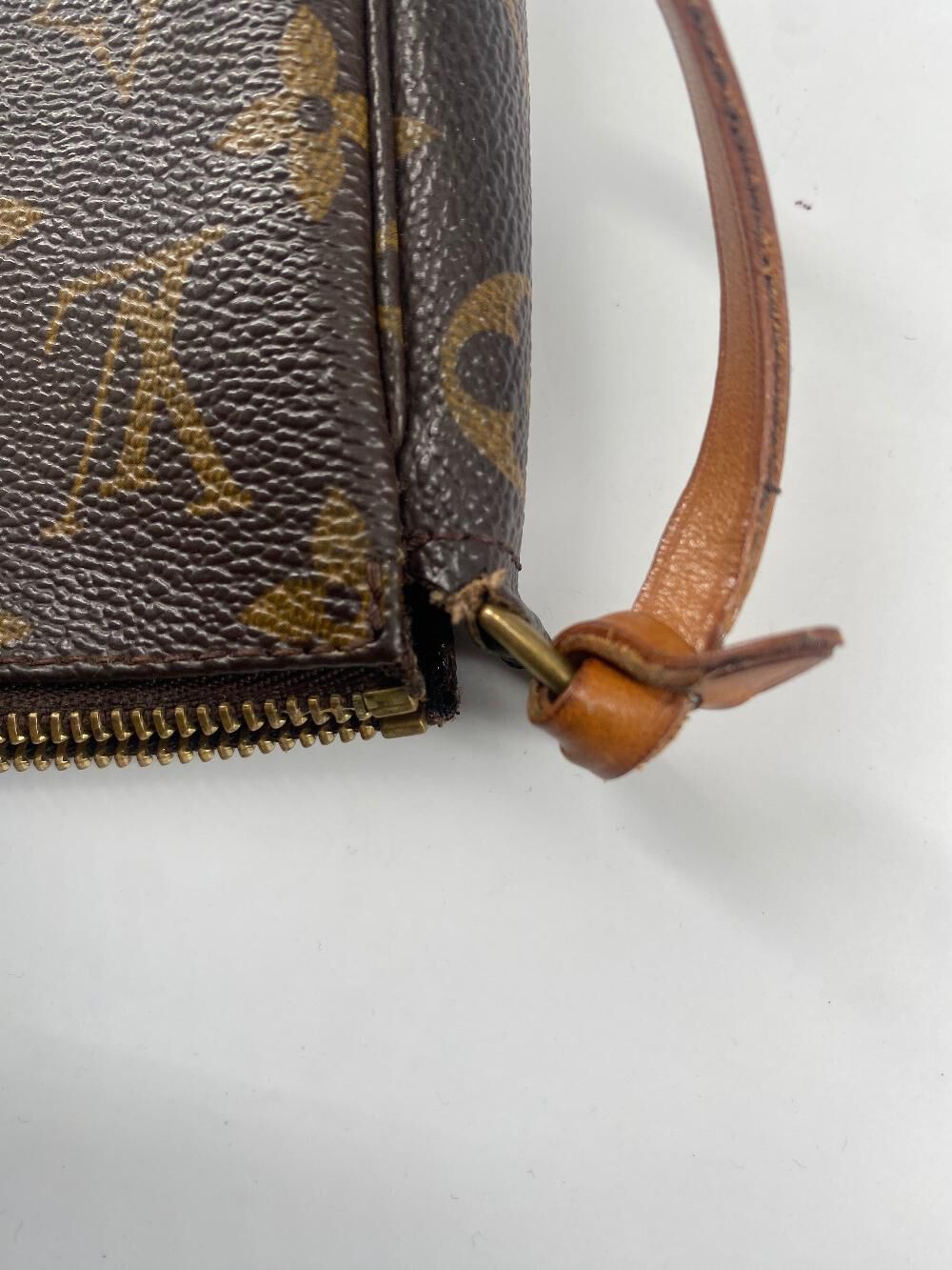 Louis Vuitton Pochette Accessoires