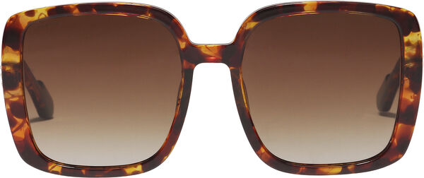ALIET sunglasses tortoise brown/gold