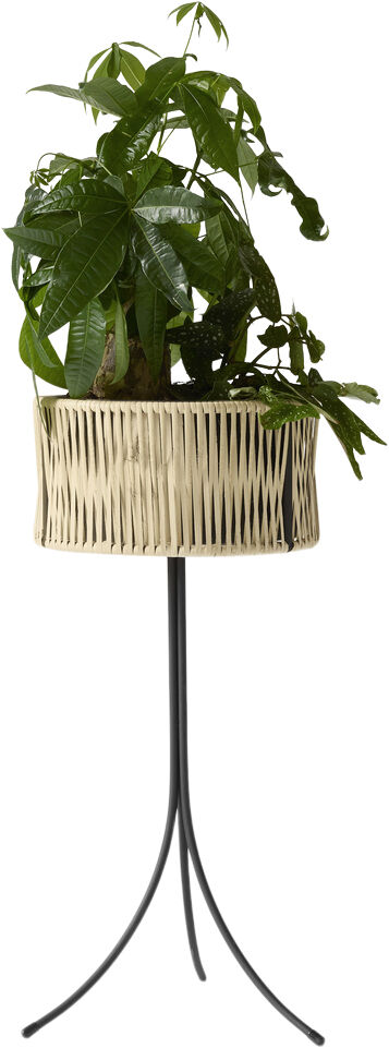 Umanoff, Planter, H 69