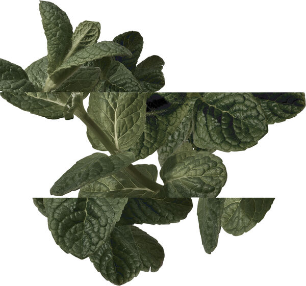 Eau d'orange verte Eau de Cologne