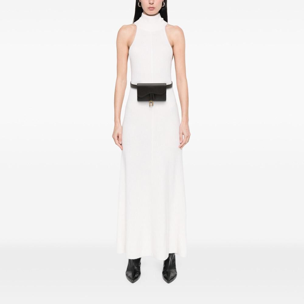 Dior Belt Bag