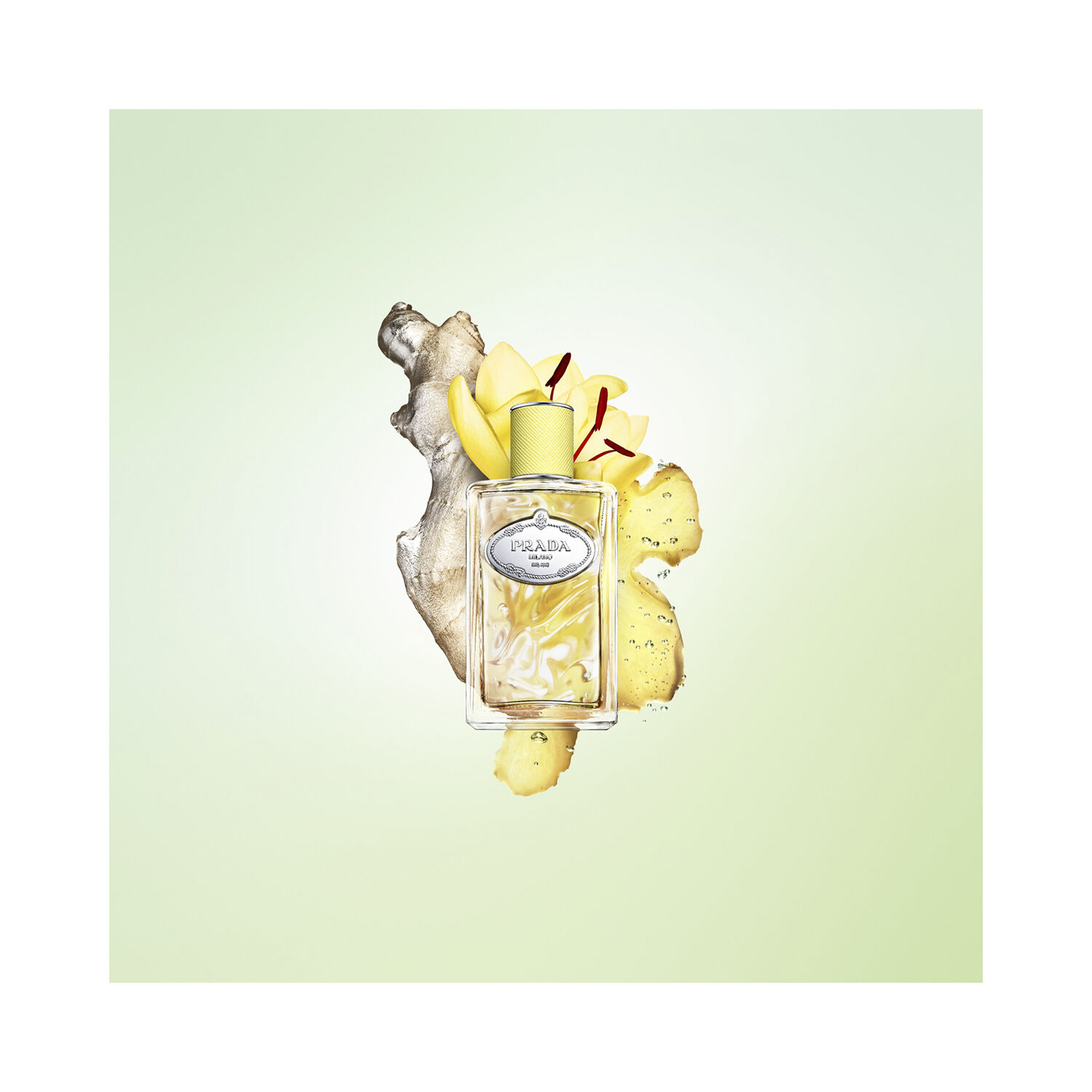 Prada Infusion de Gingembre Eau de Parfum 100ml