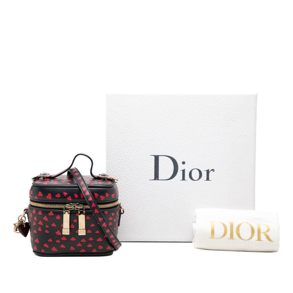 Dior Vanity Bag