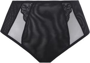 BRIANNA FULL BRIEF