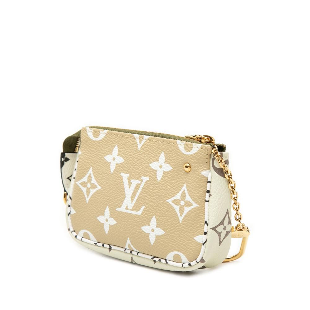 Louis Vuitton Pouch