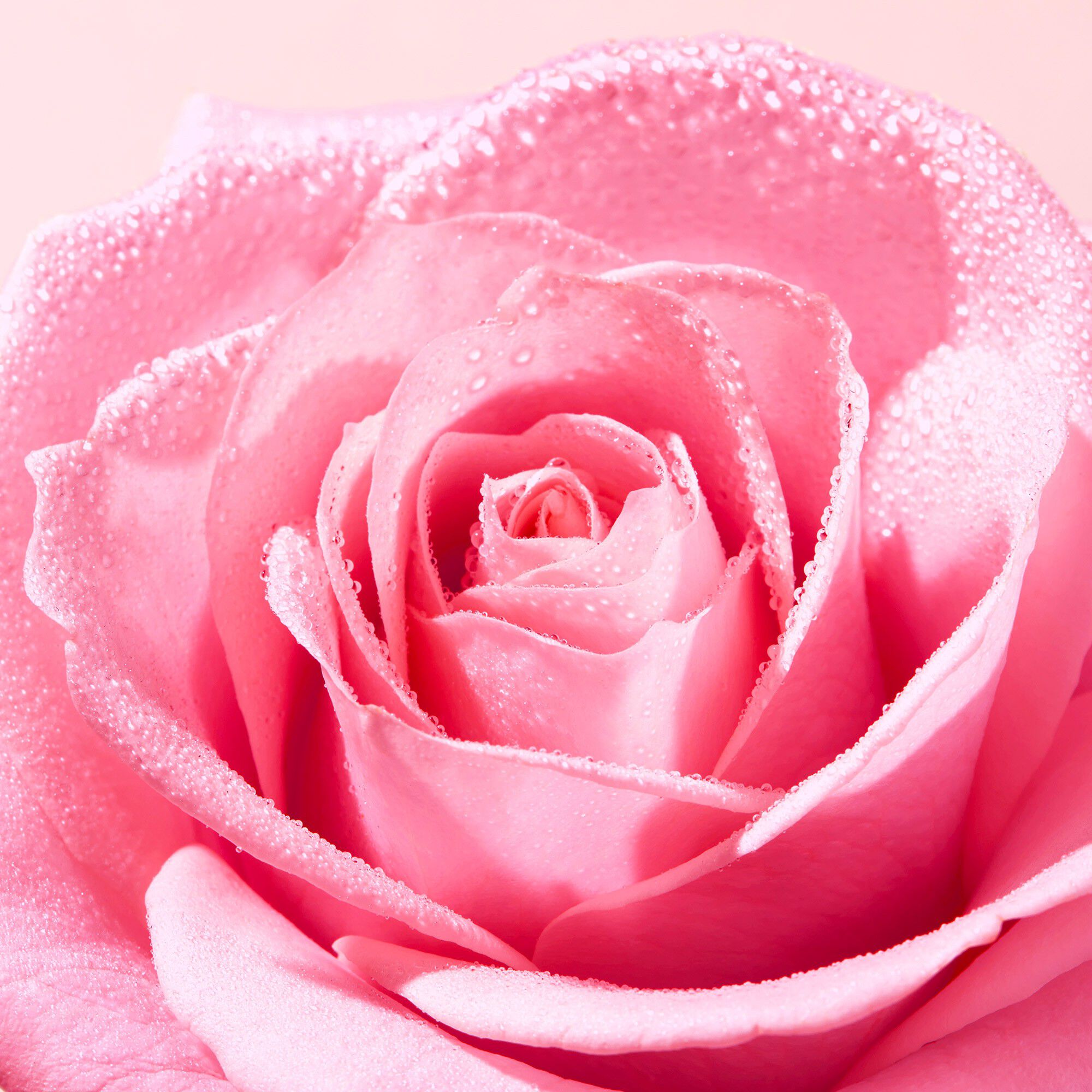 VERY ROSE MICELLAR WATER 200 ML