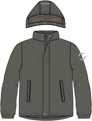Winter Jacket Solid