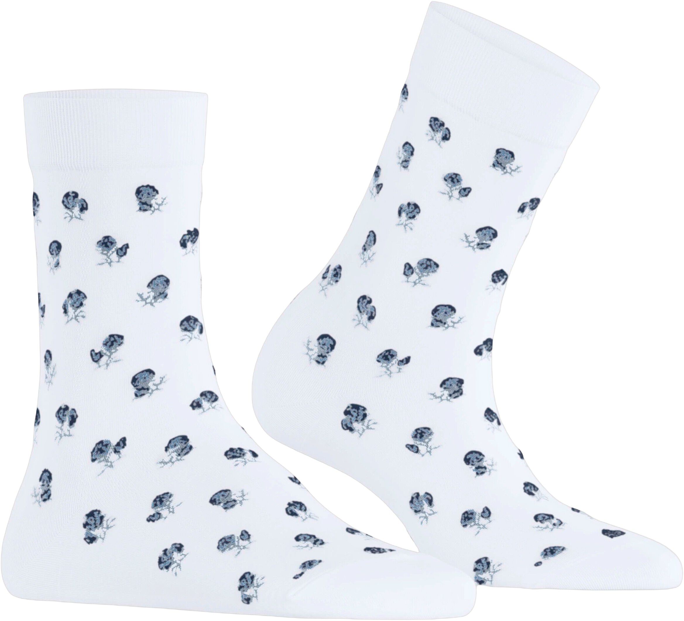 FALKE Cotton T SO Special Edition