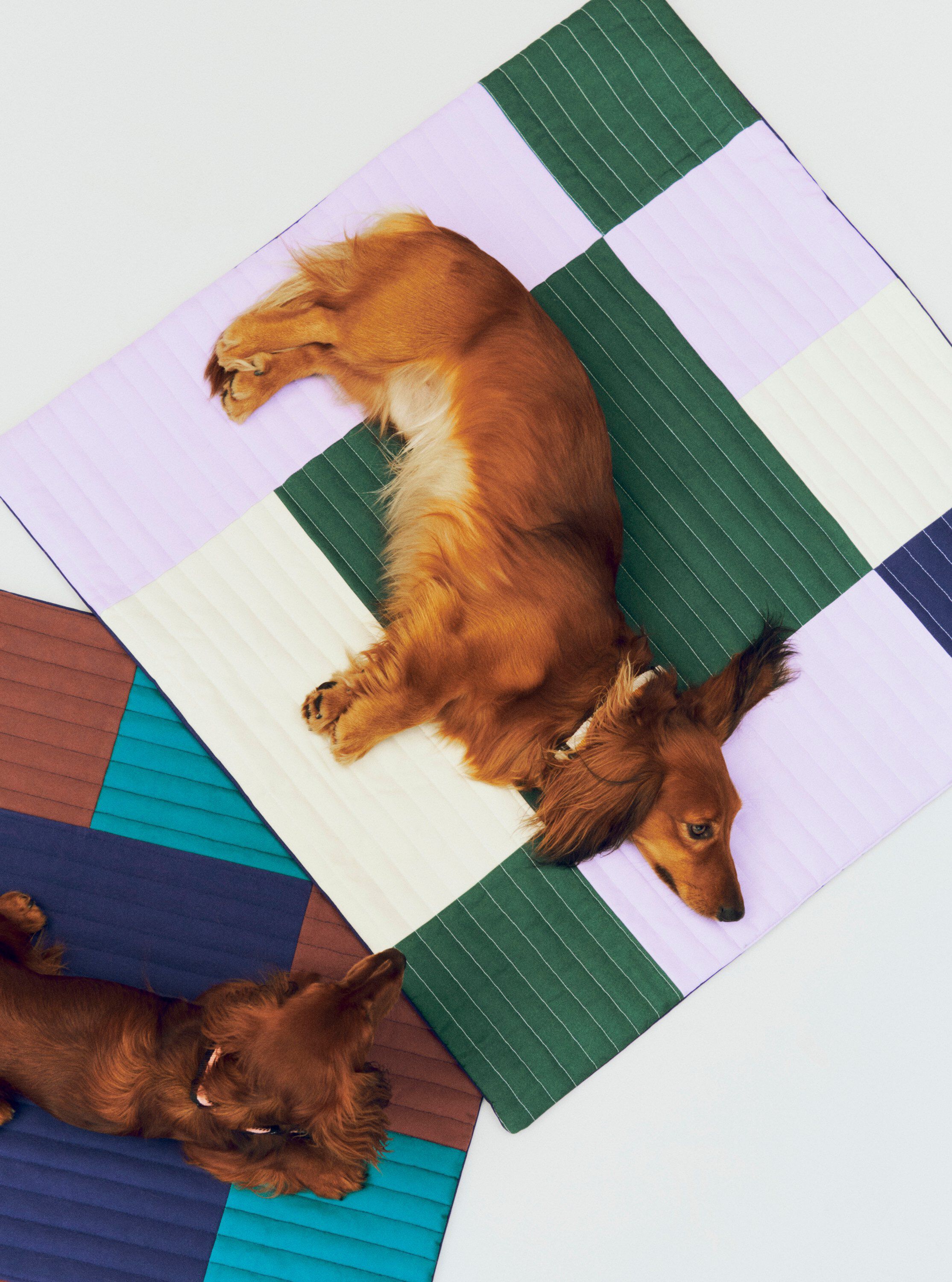 HAY Dogs Travel Blanket-80 x 80-Lav