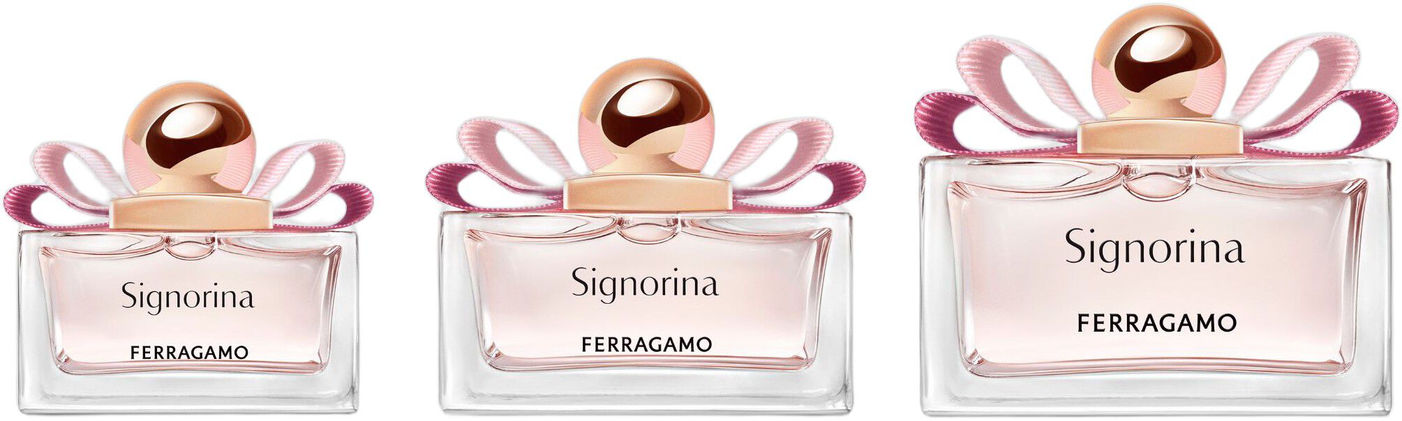 Signorina EDP