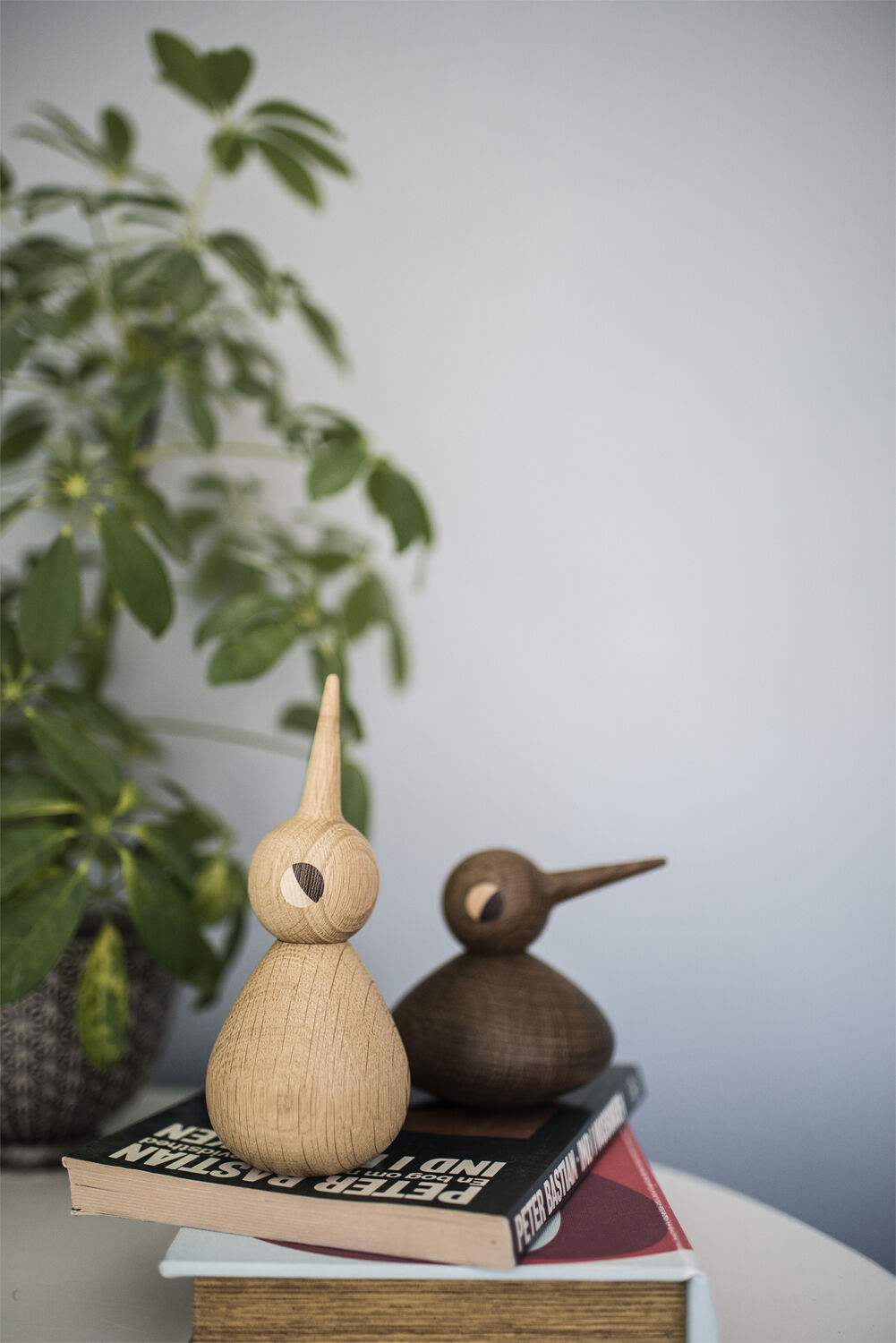 BIRD - Large natural