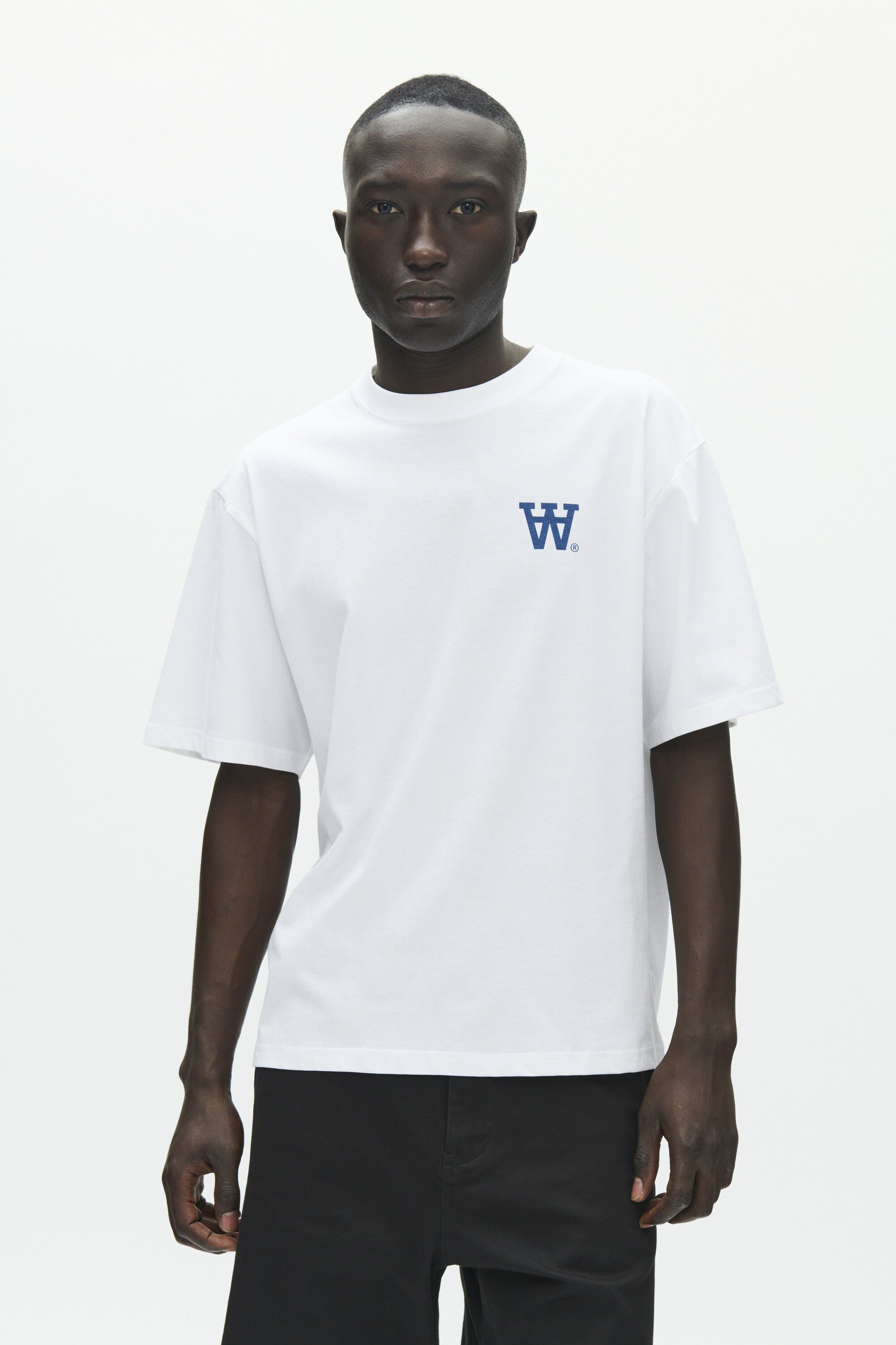 WWLiam tee fence 25074