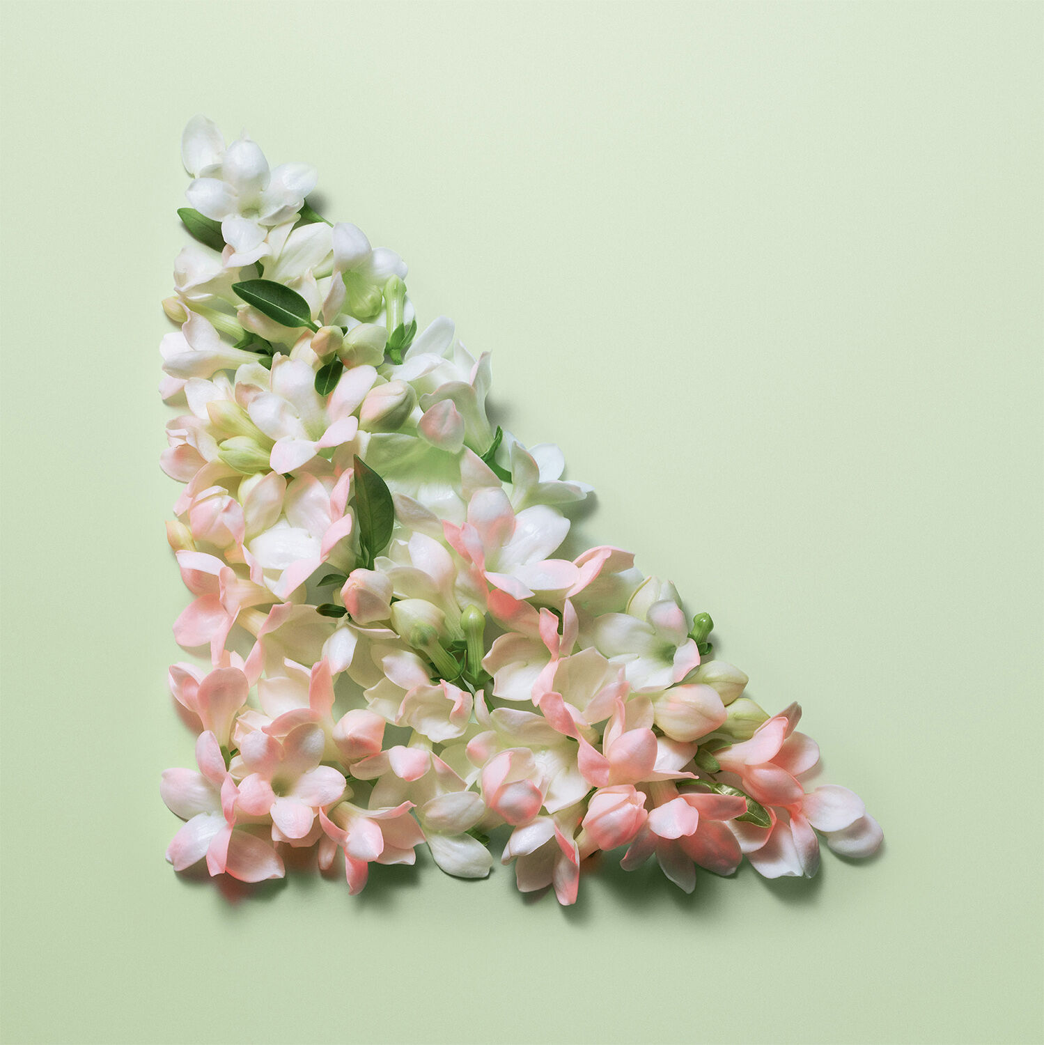 Paradoxe Intense Eau de Parfum