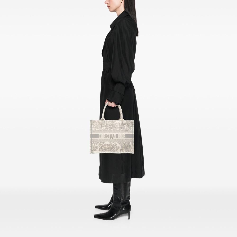 Dior Book Tote