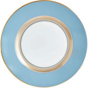 HELIABL Plate 20. 6cm 8. 1in BLU