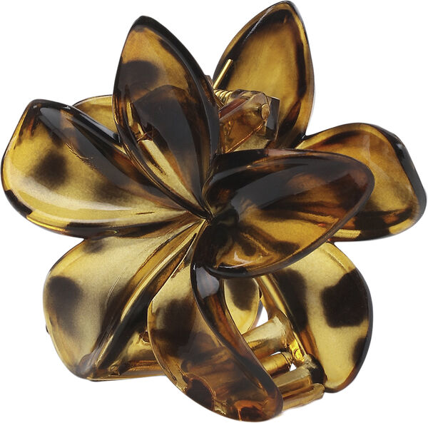 Plumeria Clarity Big