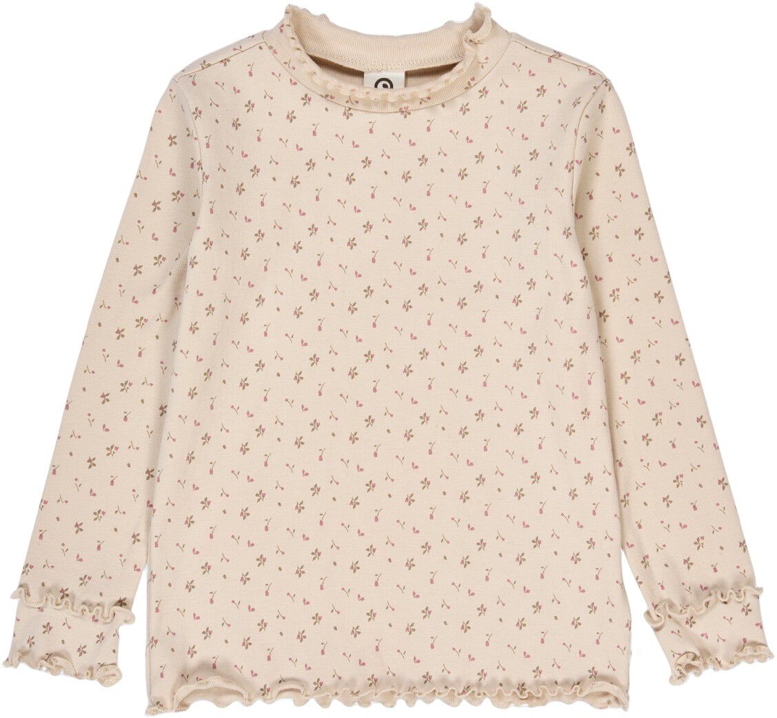 Aster l/s T