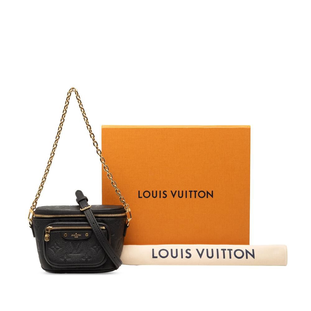 Louis Vuitton Bumbag