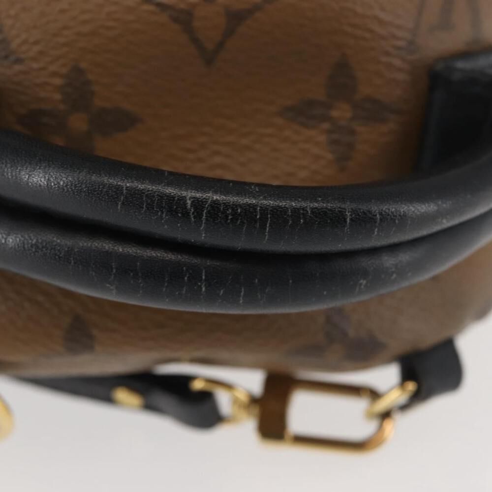 Louis Vuitton Palm Springs