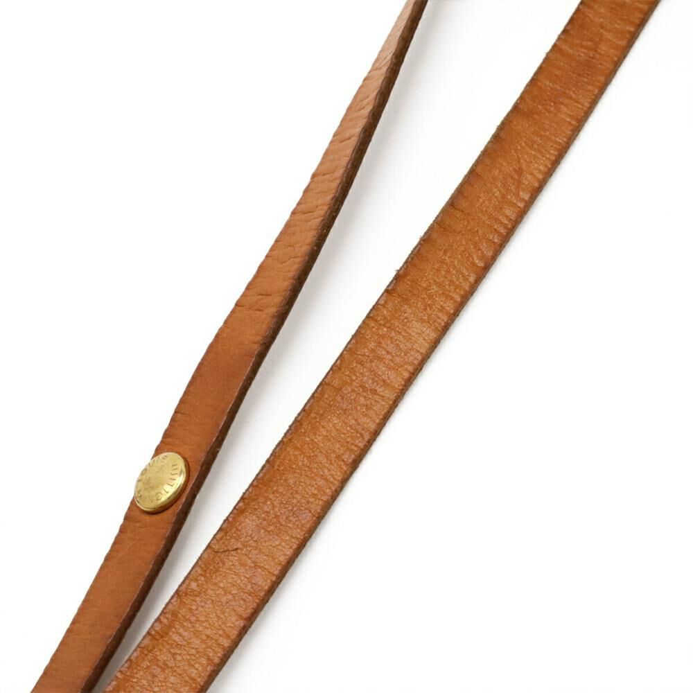 Louis Vuitton Florentine Pochette