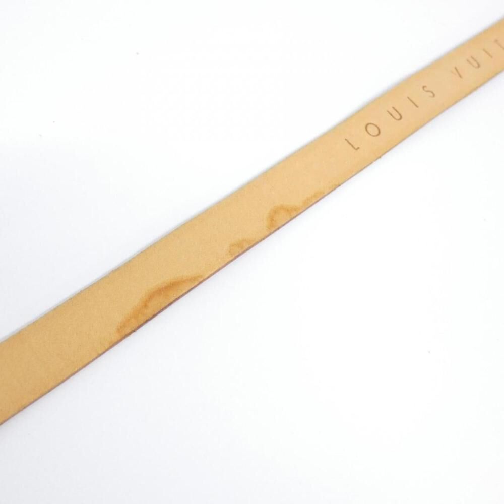 Louis Vuitton Florentine Pochette