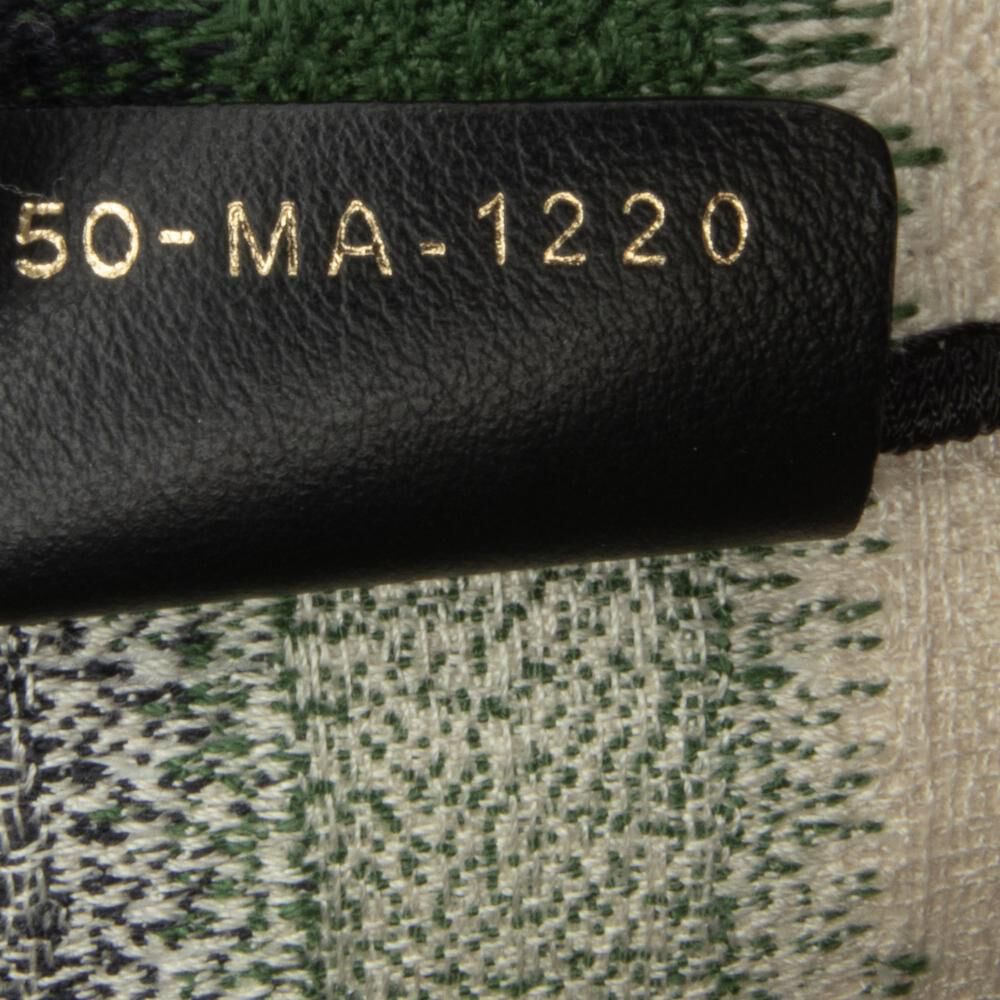 Dior Book Tote