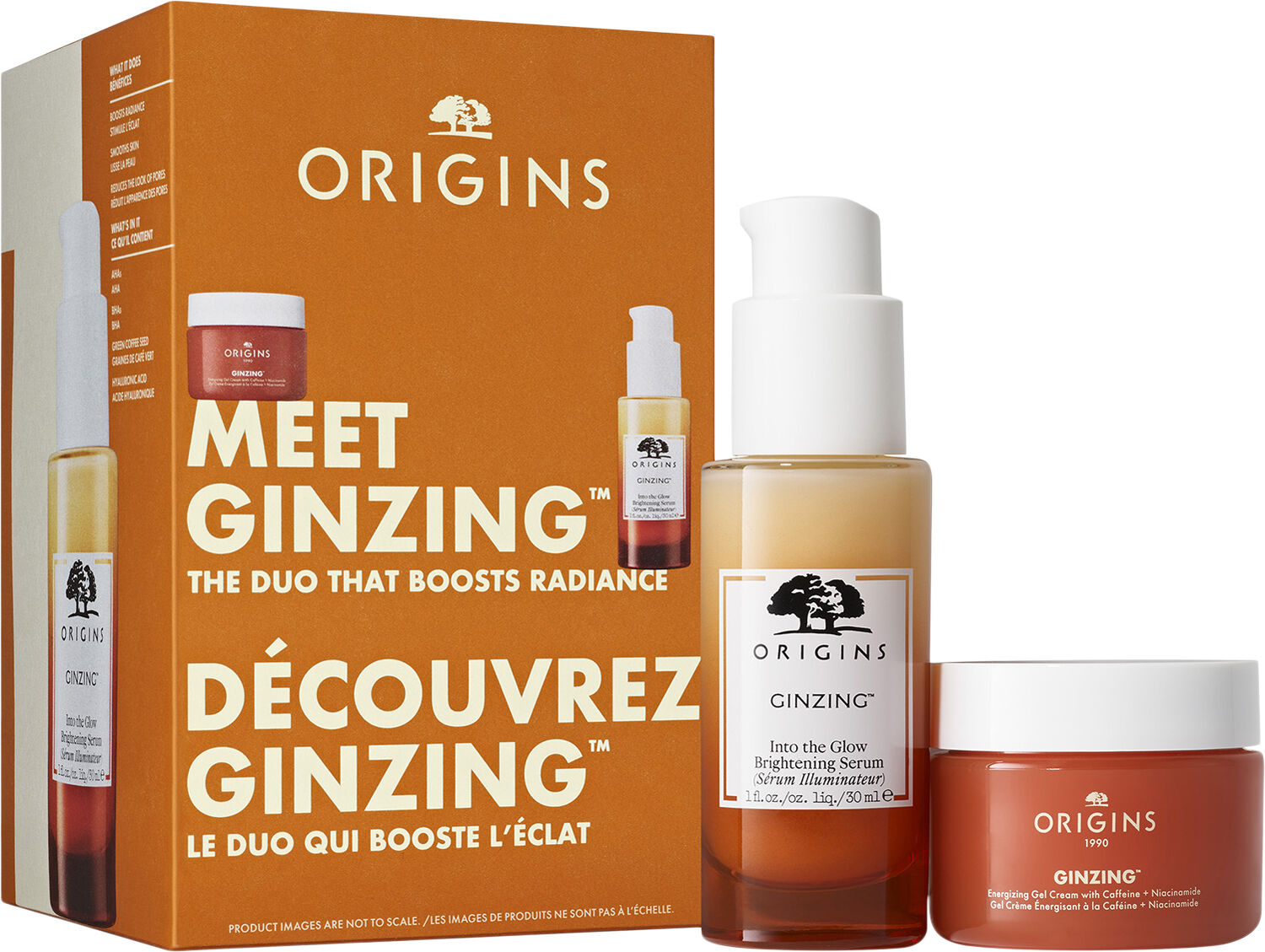 Meet Ginzing - The Duo that Boosts Radiance Set