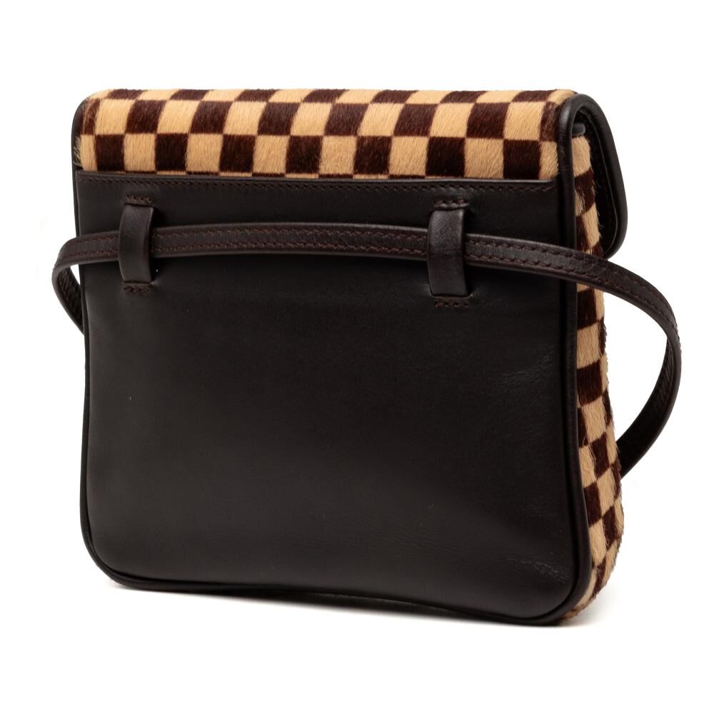 Louis Vuitton Crossbody Bag