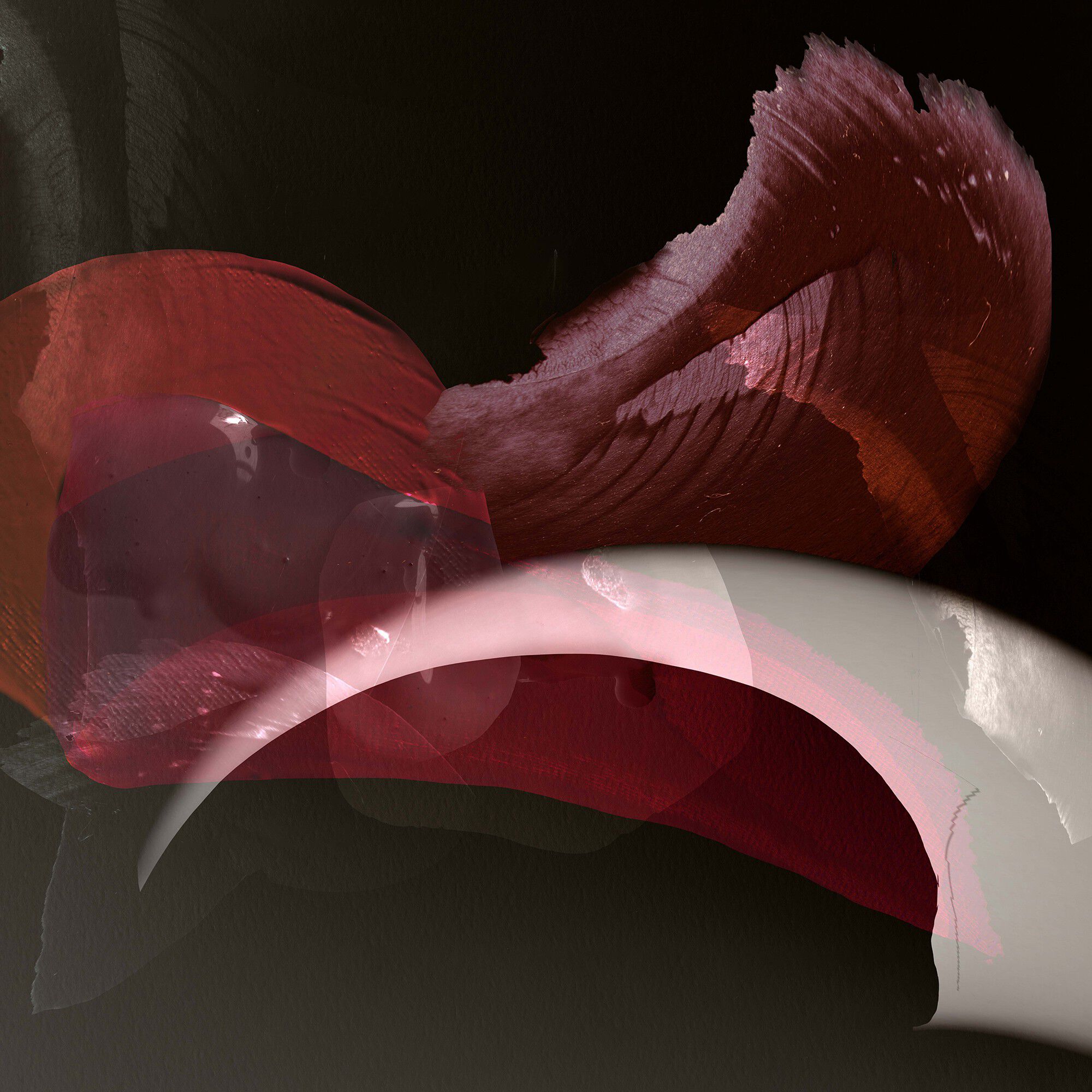 AMOUAGE SEQUENCE ESSENCE DE PARFUM 100 ML