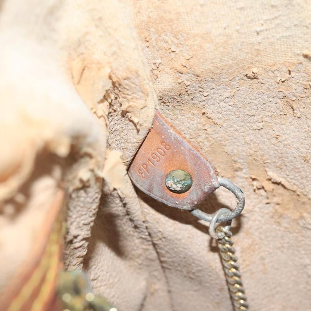 Louis Vuitton Shoulder Bags