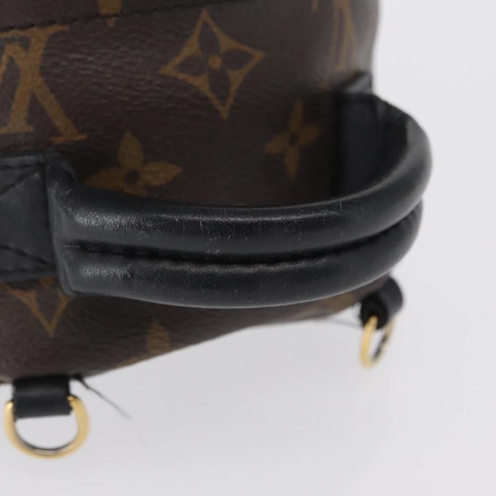 Louis Vuitton Palm Springs