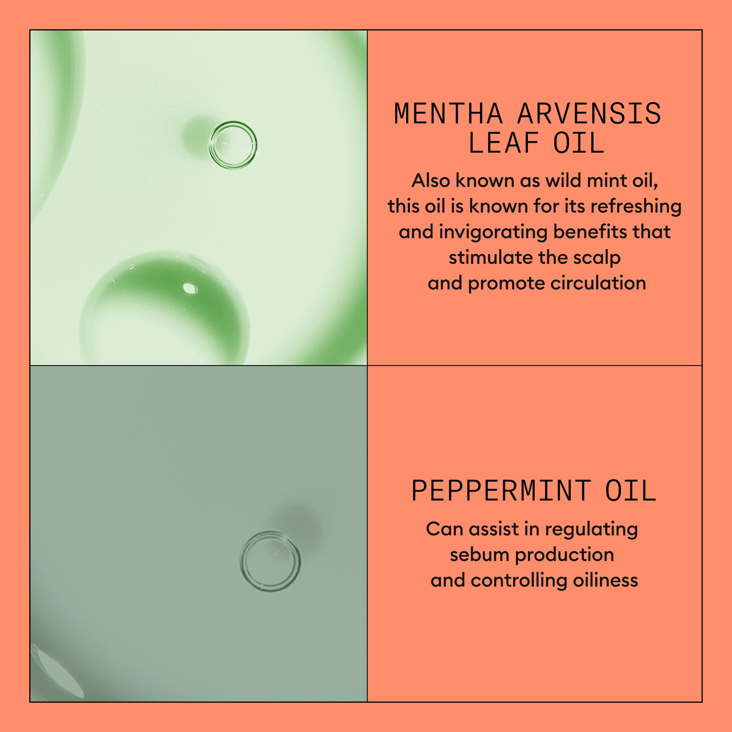 Nioxin System 4 Conditioner 300 ml