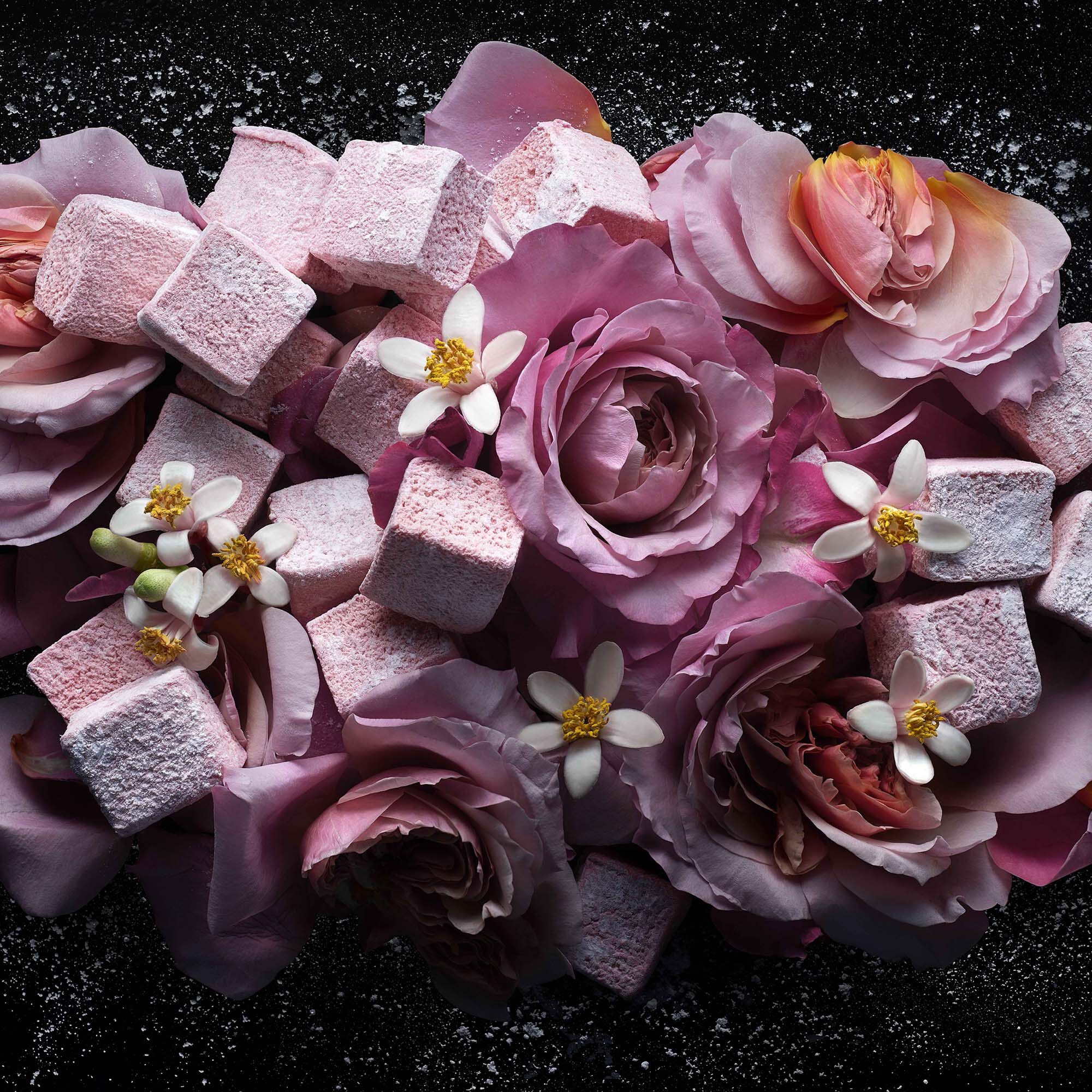 Love, Don't Be Shy Eau de Parfum Refill