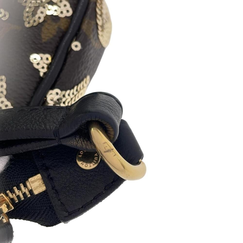 Louis Vuitton Pochette Accessoires